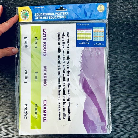 Teacher Resource Posters:  Compound Words, Root Words, Synonyms - Picture 5 of 8